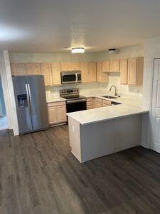 kitchen with kitchen peninsula, light brown cabinets, stainless steel appliances, and dark wood-type flooring