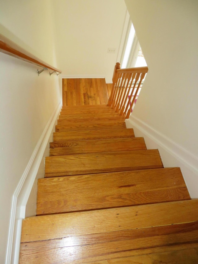 staircase with wood-type flooring