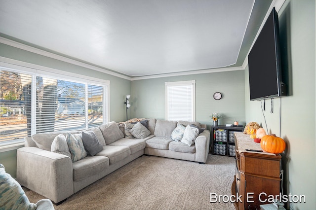 living room featuring light carpet and crown molding