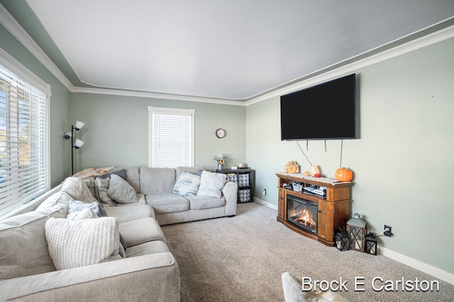 carpeted living room with crown molding