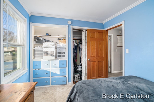 carpeted bedroom with a closet and crown molding