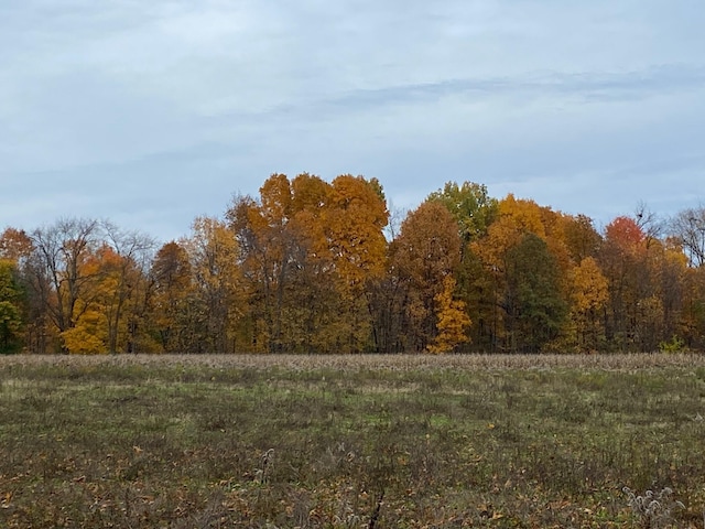 8699 S 29th St, Scotts, MI 49088 - photo 1