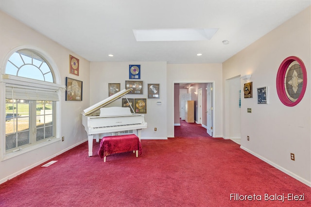 miscellaneous room featuring a skylight and carpet floors