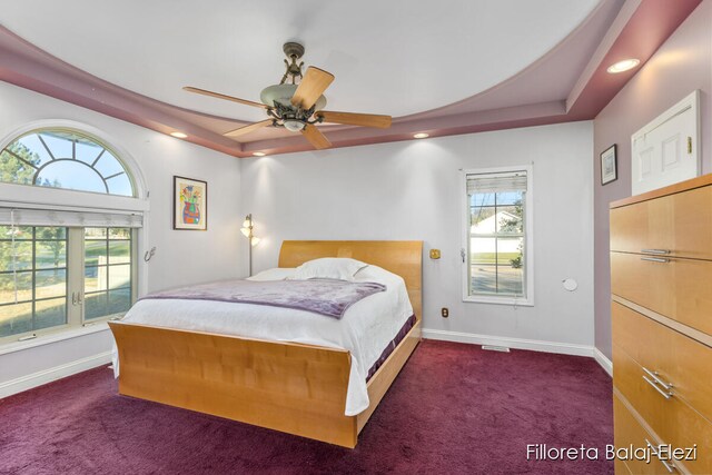 carpeted bedroom with ceiling fan and a raised ceiling