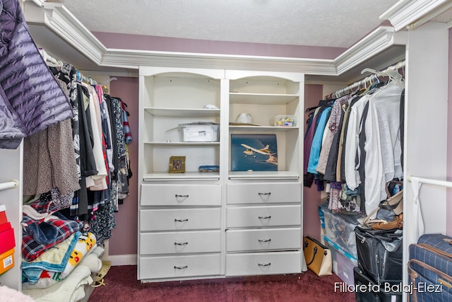 spacious closet with dark carpet