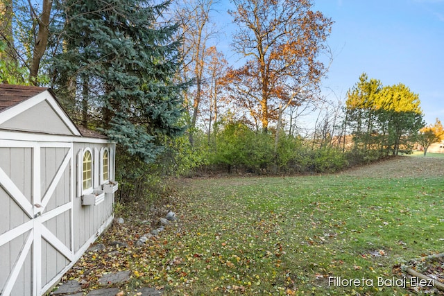 view of yard featuring a storage shed