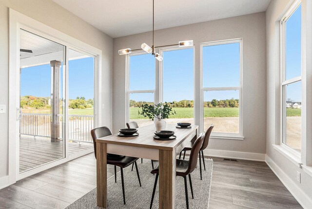 dining space with a wealth of natural light and wood-type flooring