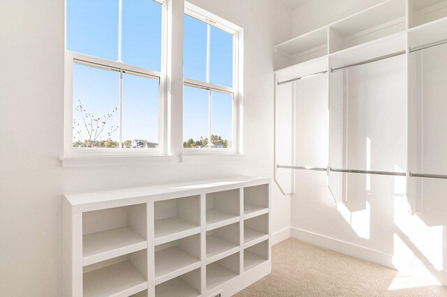 walk in closet with light colored carpet