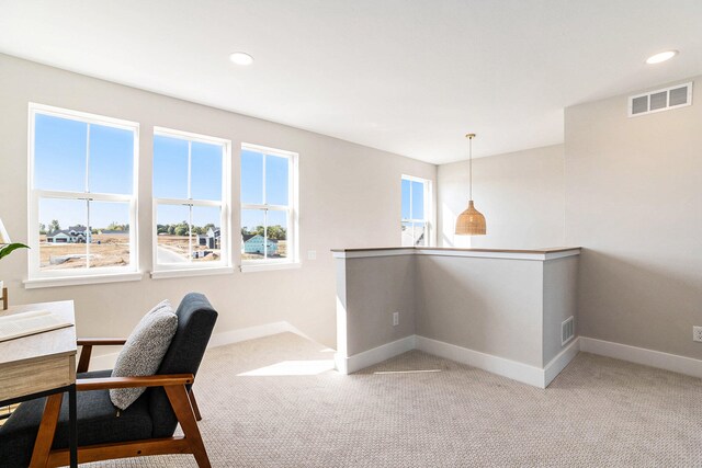 office area featuring light colored carpet