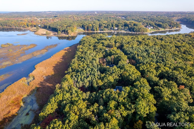 bird's eye view with a water view