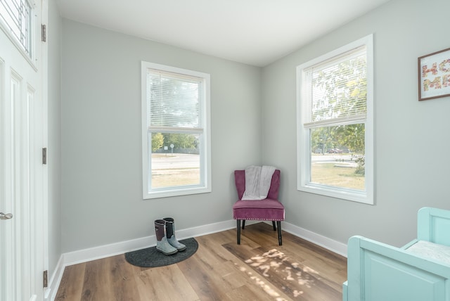 sitting room with light hardwood / wood-style flooring and plenty of natural light