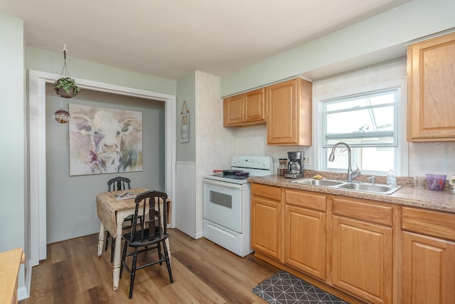 kitchen with light hardwood / wood-style flooring, sink, and white electric range oven