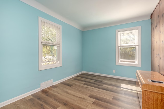 empty room featuring a wealth of natural light and hardwood / wood-style floors