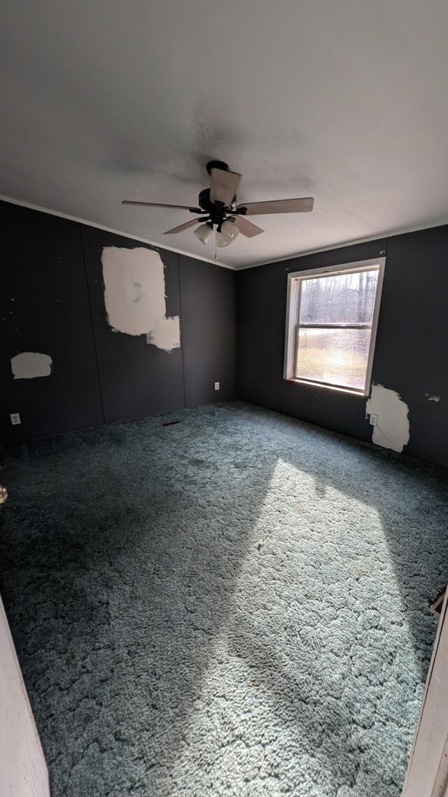 empty room featuring ceiling fan and carpet flooring