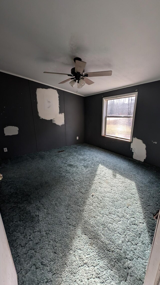 unfurnished room featuring ceiling fan and carpet