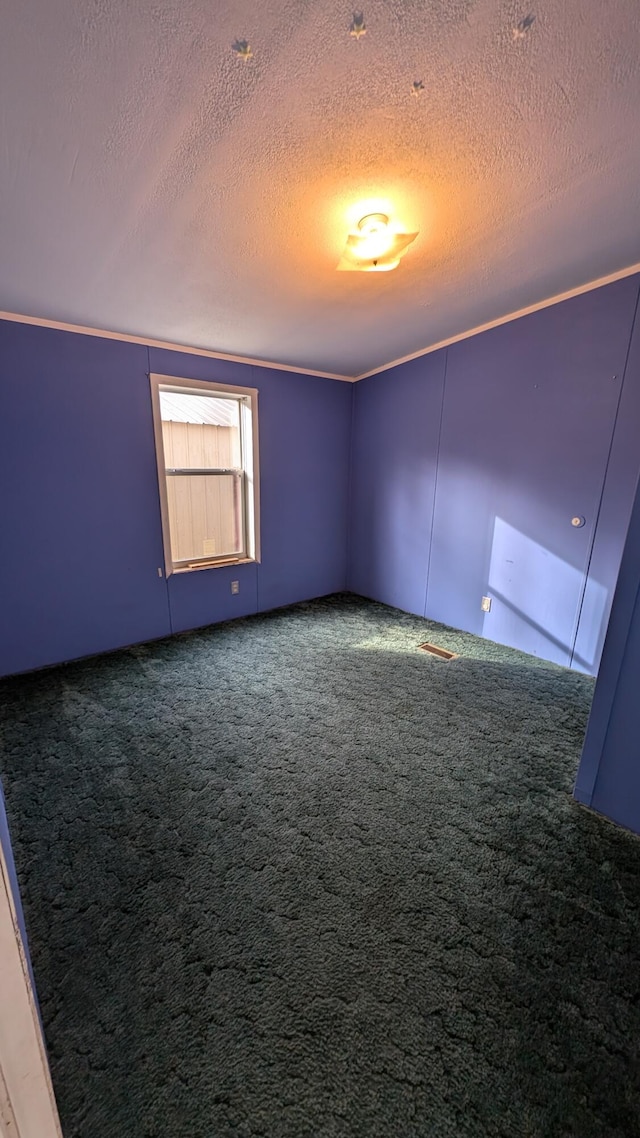 spare room with a textured ceiling and carpet flooring