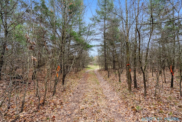 VL Whitehall Rd, Whitehall, MI 49461 - photo 2
