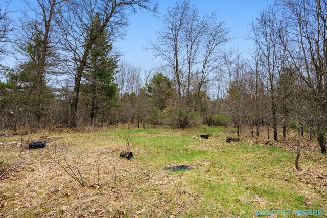 VL Whitehall Rd, Whitehall, MI 49461 - photo 8