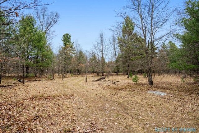 VL Whitehall Rd, Whitehall, MI 49461 - photo 3