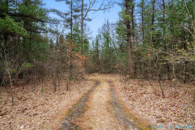 VL Whitehall Rd, Whitehall, MI 49461 - photo 4