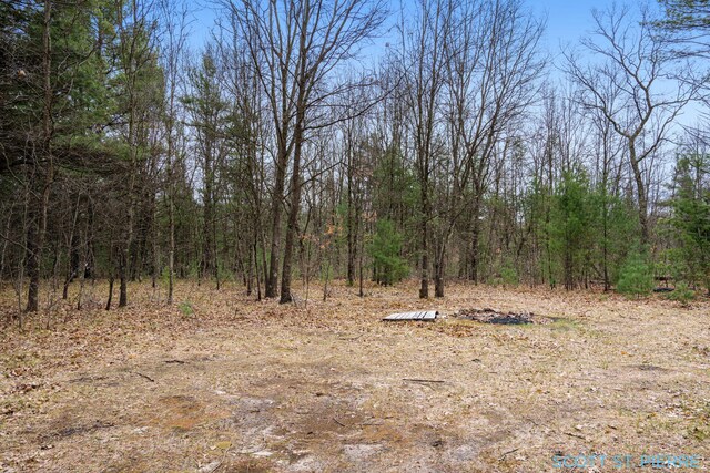 VL Whitehall Rd, Whitehall, MI 49461 - photo 6