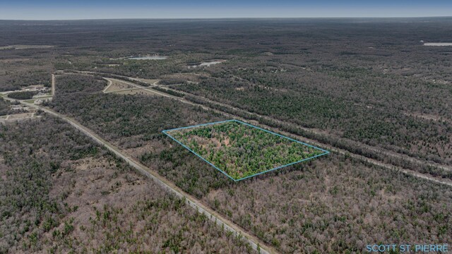 VL Whitehall Rd, Whitehall, MI 49461 - photo 10