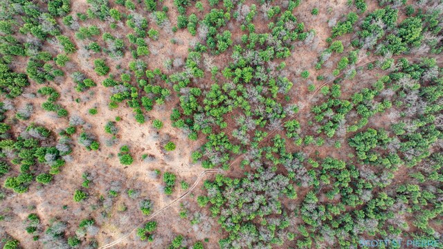 VL Whitehall Rd, Whitehall, MI 49461 - photo 15