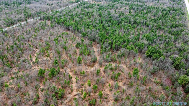 VL Whitehall Rd, Whitehall, MI 49461 - photo 16