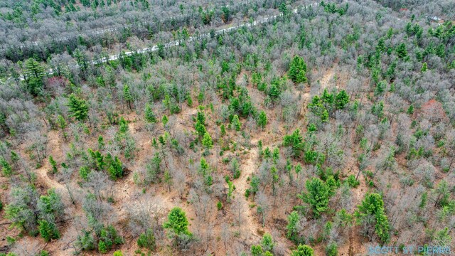 VL Whitehall Rd, Whitehall, MI 49461 - photo 17