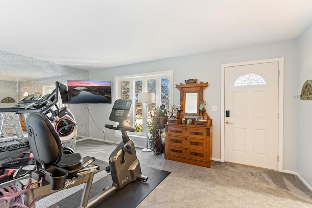 workout room featuring carpet