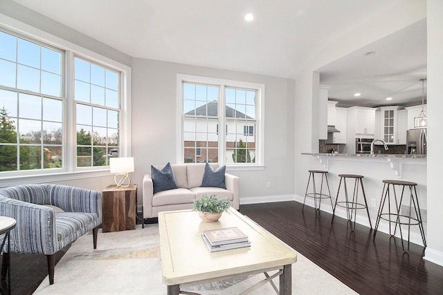 living room featuring hardwood / wood-style flooring and sink