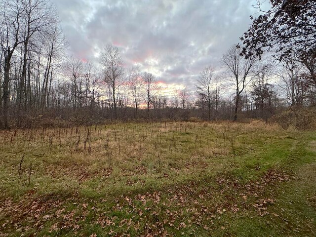 view of local wilderness