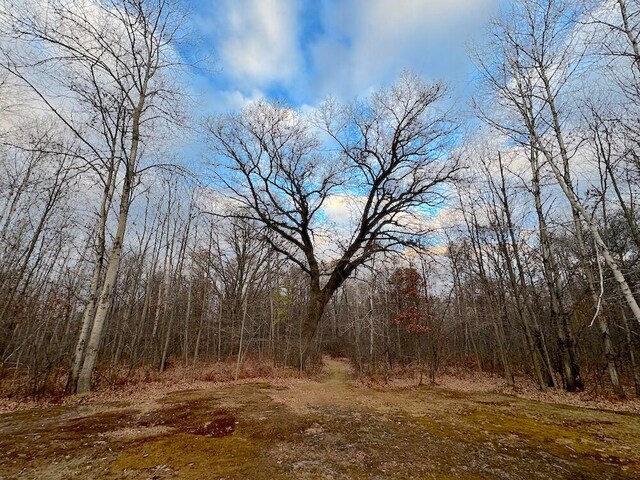 view of local wilderness