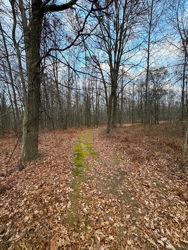 view of nature