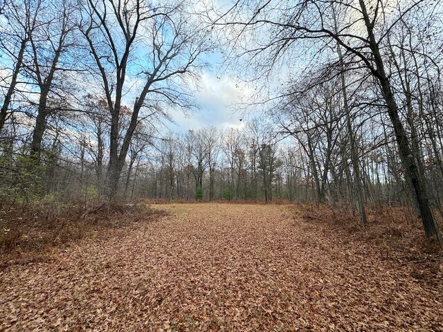 view of nature