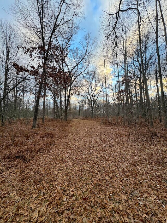 view of local wilderness