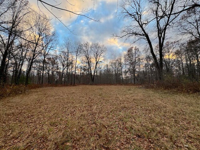 view of nature at dusk