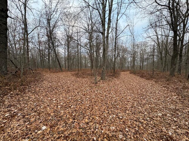 view of local wilderness