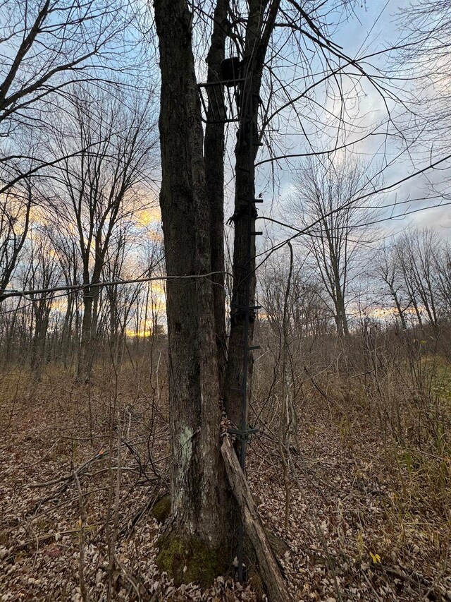 view of nature at dusk