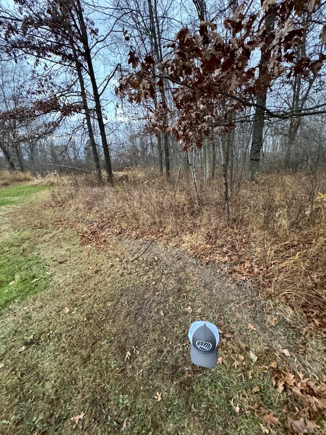 view of local wilderness