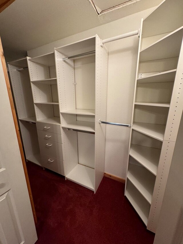 spacious closet with dark carpet