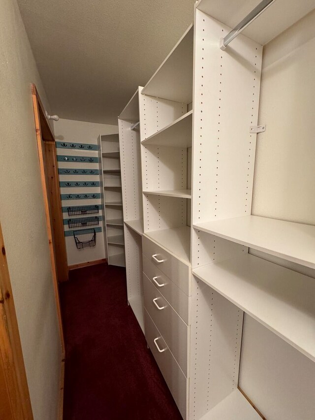 walk in closet with dark carpet