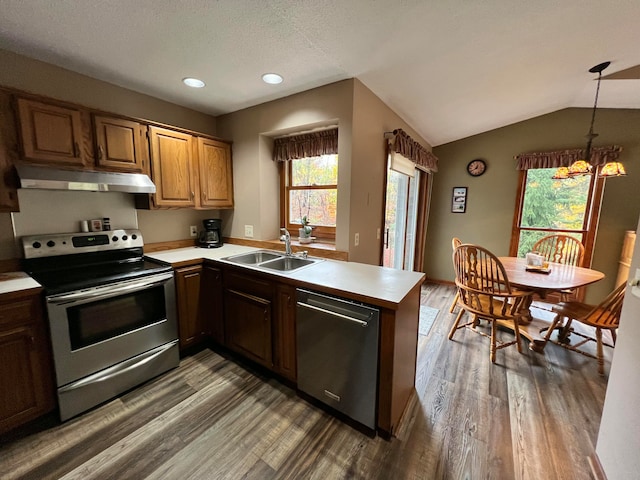 kitchen with lofted ceiling, sink, dark hardwood / wood-style flooring, kitchen peninsula, and stainless steel appliances