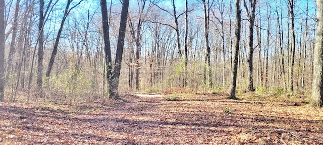 view of local wilderness