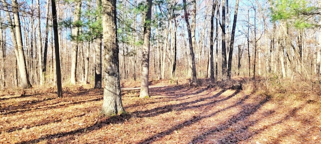 view of landscape