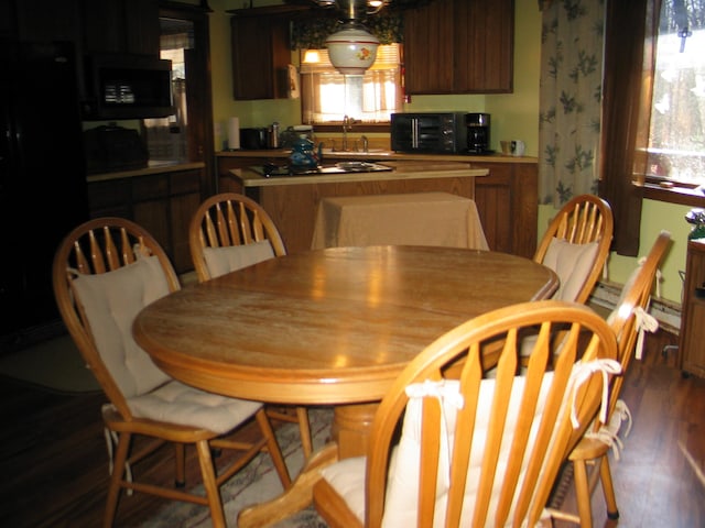 dining area with dark hardwood / wood-style flooring