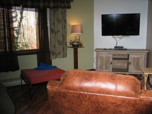 living room with hardwood / wood-style floors