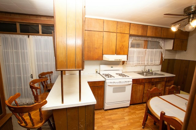 kitchen featuring ceiling fan, sink, light hardwood / wood-style flooring, white range with gas stovetop, and ornamental molding