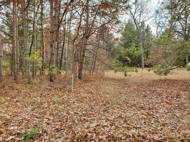 998 E Monroe St, White Cloud, MI 49349