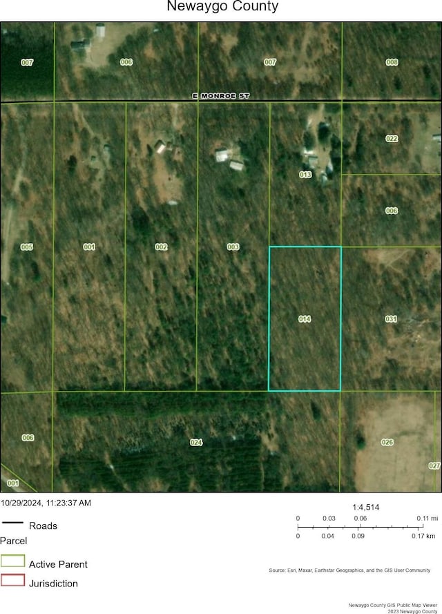 998 E Monroe St, White Cloud, MI 49349